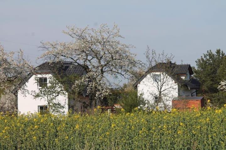 Domek w Białej - Mak Marcinowice Zewnętrze zdjęcie